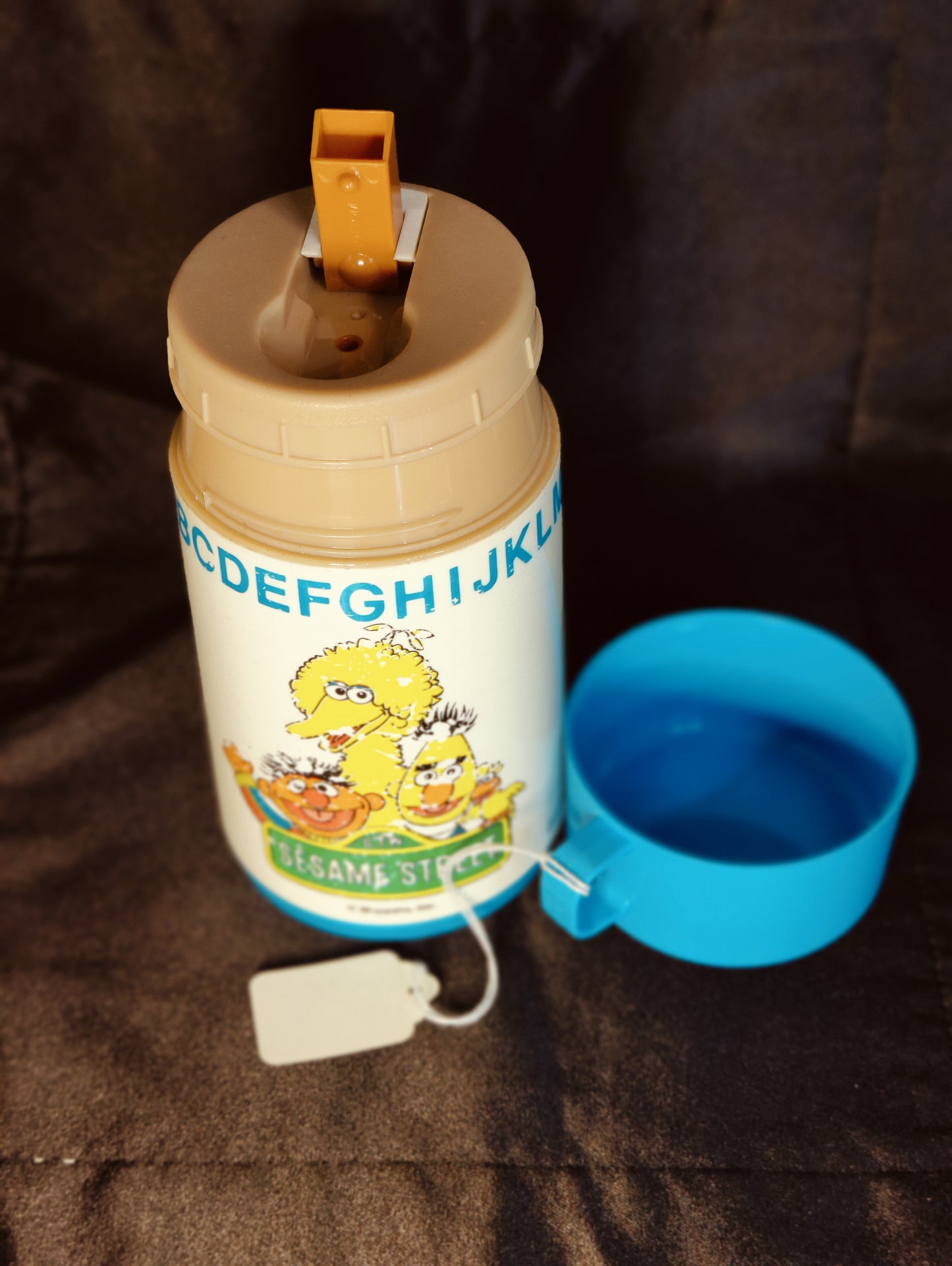 Vintage Sesame Street Thermos