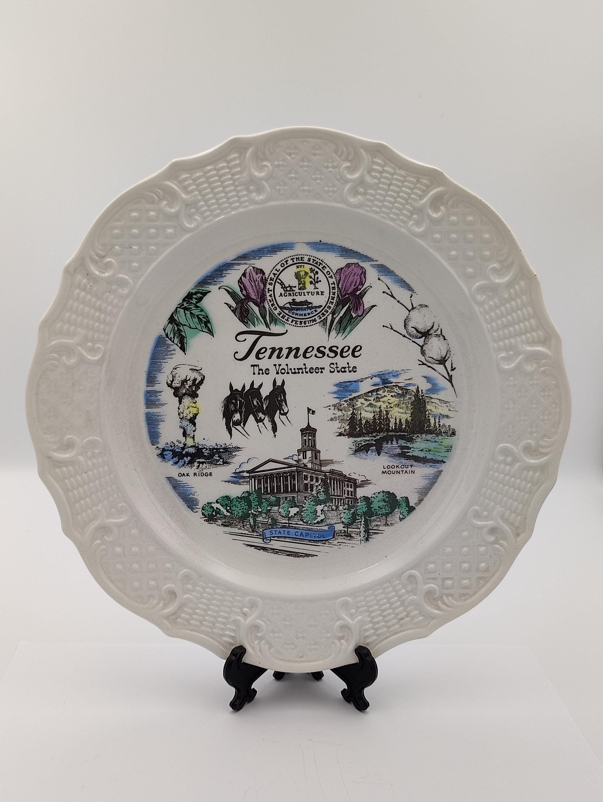 Vintage Tennessee Souvenir Plate Wall Decor Collectable Landmarks 10"